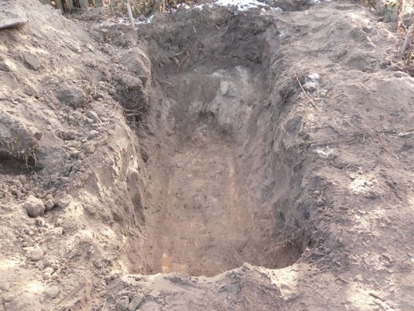 На Волині внучка знайшла останки діда через 70 років. ФОТО