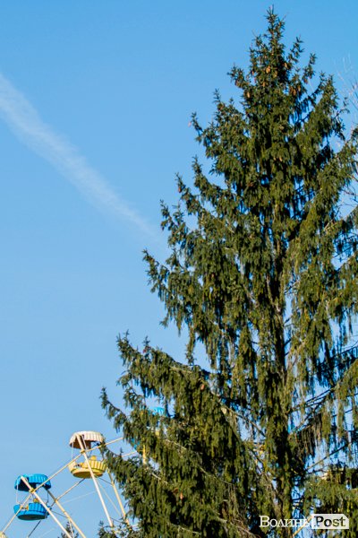 У Луцьку – майже весна. ФОТОРЕПОРТАЖ