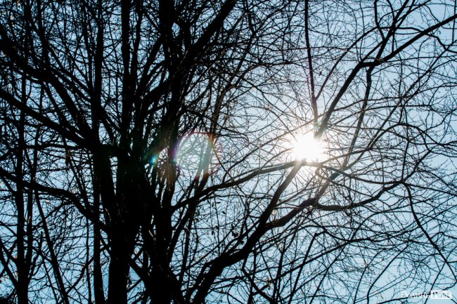 У Луцьку – майже весна. ФОТОРЕПОРТАЖ