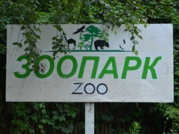 Луцький зоопарк готові «переробити» за 7 місяців