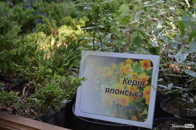 Еко-туризм «за крок» від Луцька: всі стежки ведуть до Воротнева