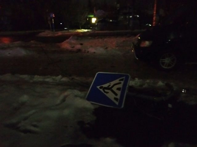 Збив знак та перевернувся: на Донеччині нетверезий водій тікав від поліцейських. ФОТО