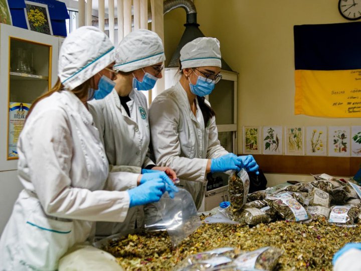 Студенти Волинського медінституту виготовляють цілющі мазі та чаї для захисників України