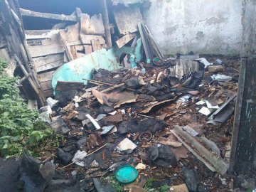 Антисанітарія та сараї-розвалюхи: у Луцьку наводять лад на захаращеній території. ФОТО