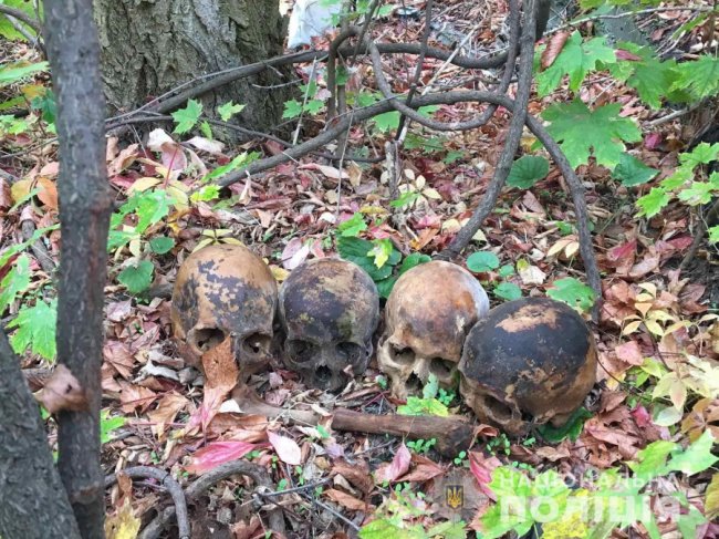 У Миколаєві чоловік підкинув людський череп колишній дівчині на поріг. ВІДЕО