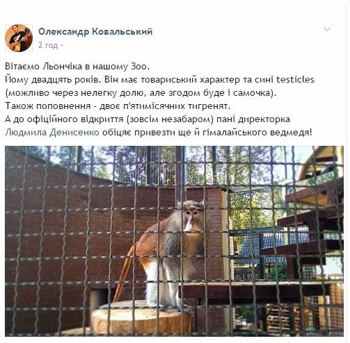 У луцькому зоопарку з'явився Льончик