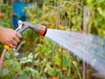 Мешканці поливають городи: у селищі на Волині питну воду можуть подавати за графіком 
