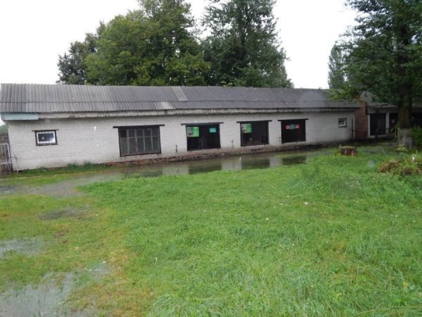 Як потерпав від дощу луцький зоопарк. ФОТО