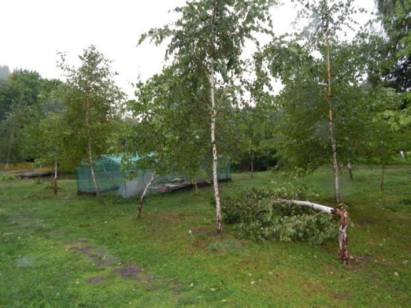 Як потерпав від дощу луцький зоопарк. ФОТО