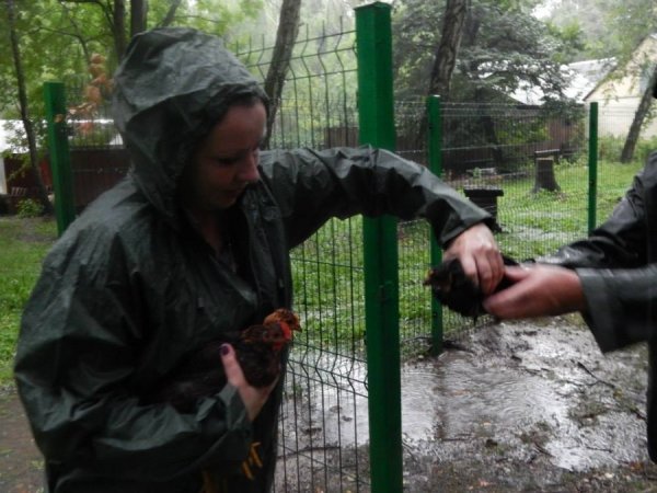 Як потерпав від дощу луцький зоопарк. ФОТО