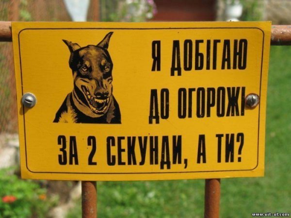 Кумедні надписи та оголошення. ФОТО