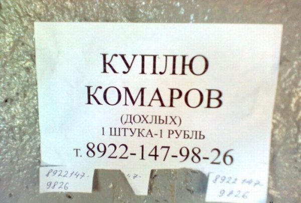 Кумедні надписи та оголошення. ФОТО