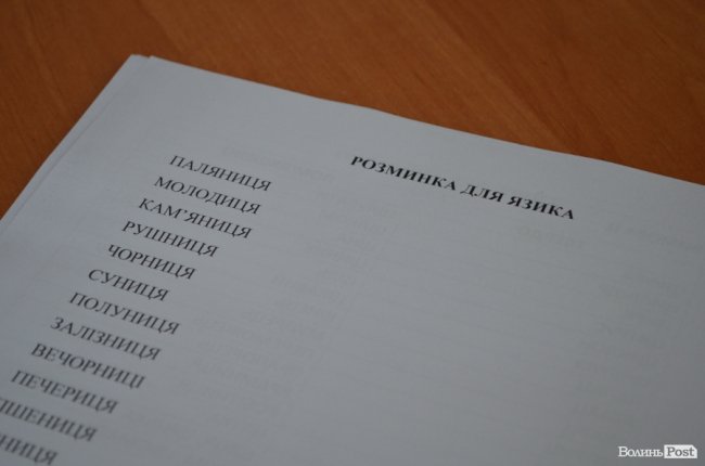 «Навіть перед донькою соромно, що мови не знаю»: переселенці у Луцьку вперше зібралися на розмовний клуб української