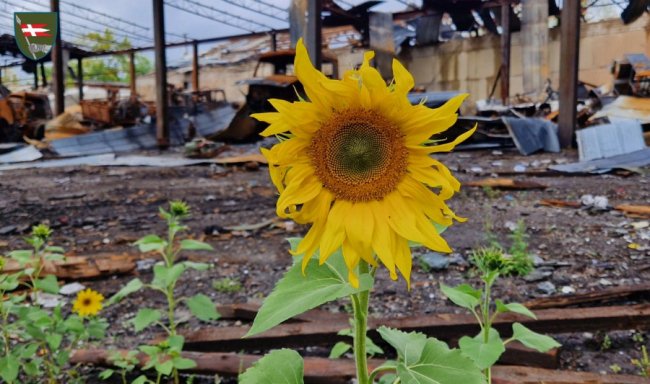 Воїни 14 ОМБр пофарбували у синьо-жовтий знак при в'їзді у звільнений Куп'янськ. ФОТО