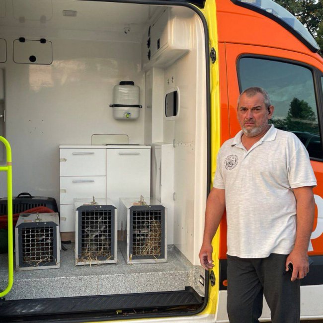 Єнотів, яких врятували волонтери, прихистив Луцький зоопарк