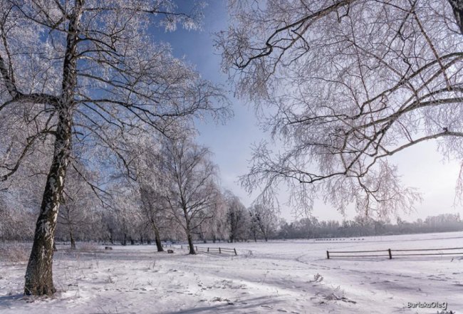 Останній день січня у луцькому парку. ФОТО