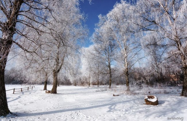 Останній день січня у луцькому парку. ФОТО