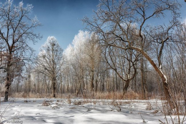 Останній день січня у луцькому парку. ФОТО