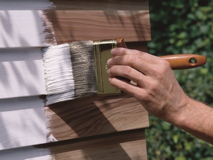 Як обрати фарбу для дерева для зовнішніх і внутрішніх робіт: практичний гайд