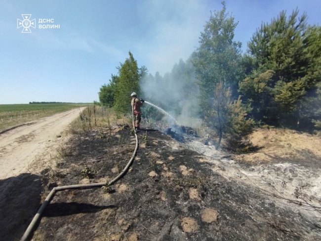 На Волині загасили 7 пожеж сухої трави та чагарників. ФОТО