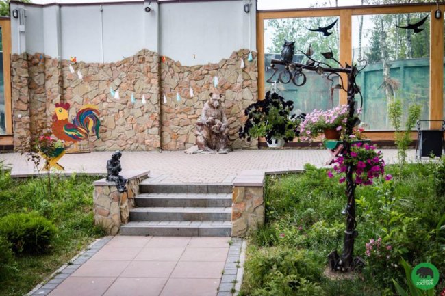 Квіти Луцького зоопарку: 37 дивовижних фото