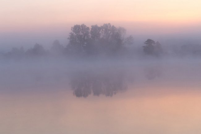 Природній мінімалізм: луцький фотограф поділився дивовижними світлинами. ФОТО