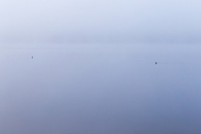 Природній мінімалізм: луцький фотограф поділився дивовижними світлинами. ФОТО