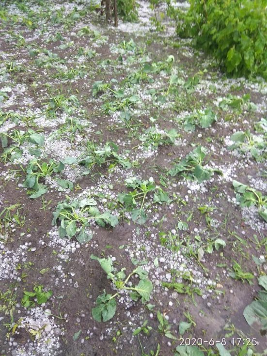 У районі на Волині випав сильний град, побив усю городину. ФОТО