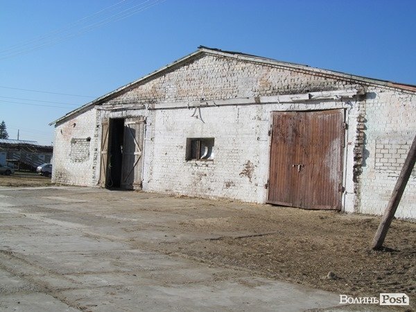 Де на Волині виробляють молоко для європейців. ФОТО