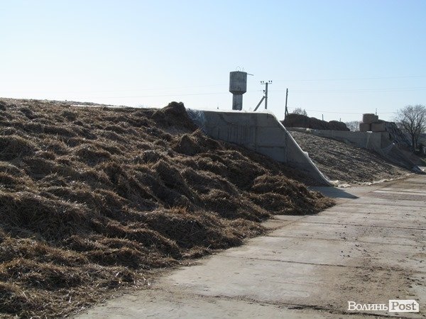 Де на Волині виробляють молоко для європейців. ФОТО