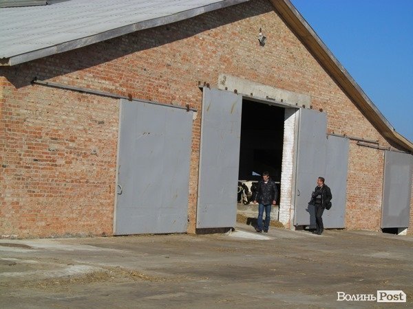 Де на Волині виробляють молоко для європейців. ФОТО