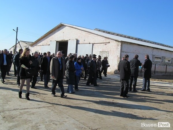 Де на Волині виробляють молоко для європейців. ФОТО