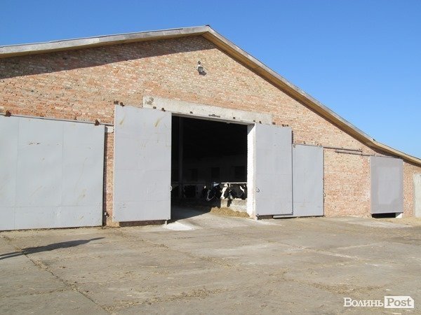 Де на Волині виробляють молоко для європейців. ФОТО