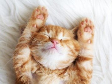 Вихідні дні у жовтні: скільки відпочиватимуть українці