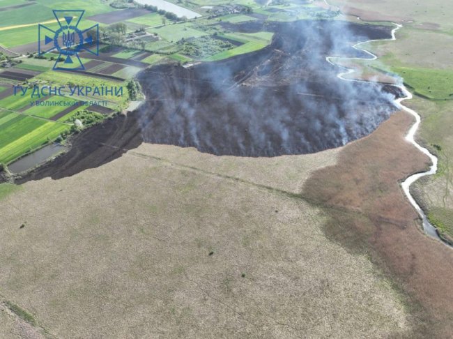 На Волині згоріло два гектари поля: палія шукають