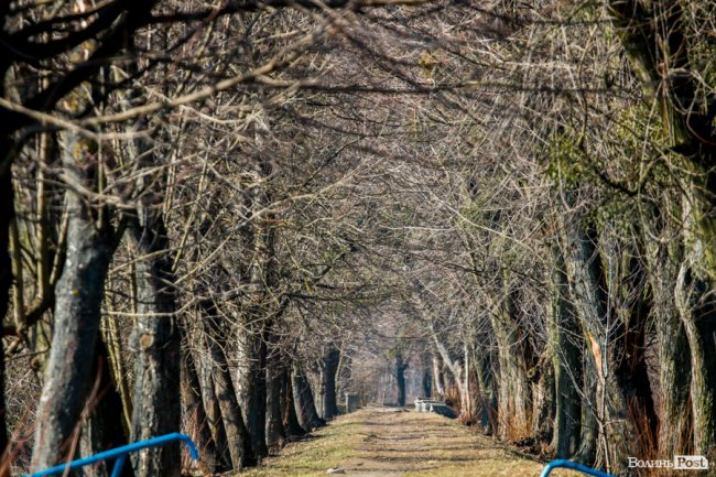 У Луцьку – майже весна. ФОТОРЕПОРТАЖ
