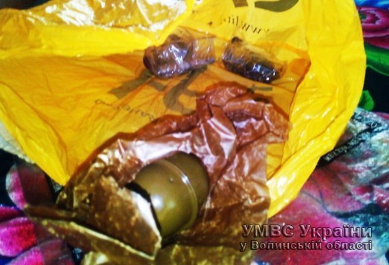 Волинянин зберігав вдома боєприпаси