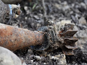 Через 80 років знайшли схрон з німецькою зброєю: на Волині знищили понад 160 боєприпасів 