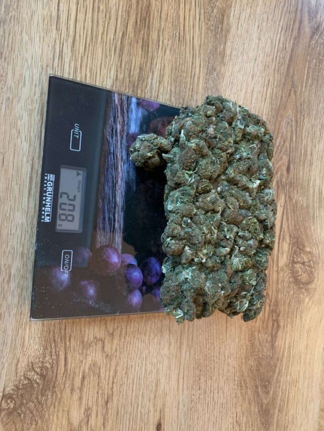 Легалізували 2,6 мільйона: на Волині судитимуть злочинну групу, яка продавала наркотики. ФОТО