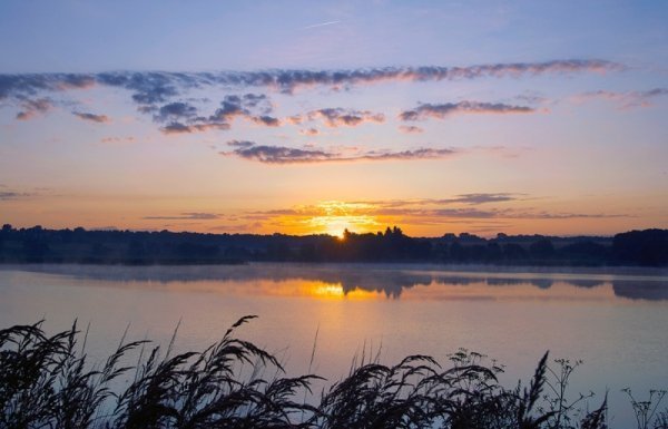 Фотовиставка Олександра Шишкіна