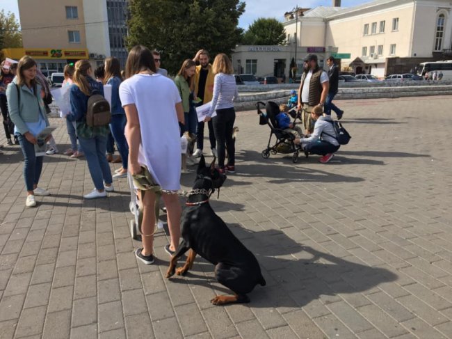 У центрі Луцька відбувся марш за права тварин. ФОТО 