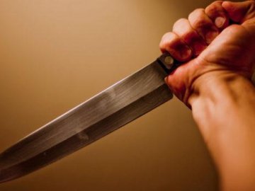 Лучанин, який п'яним зарізав знайомого, на 11 років втрапив за ґрати 