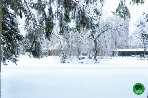 Зима в Луцькому зоопарку