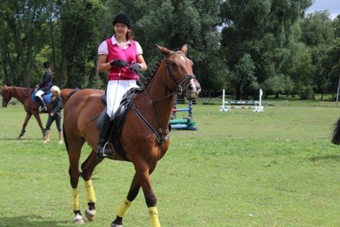 У Луцьку змагалися вершники. ФОТО