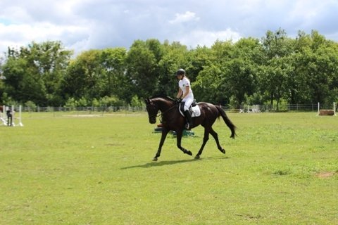 У Луцьку змагалися вершники. ФОТО