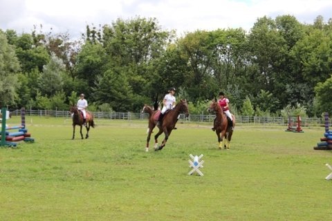 У Луцьку змагалися вершники. ФОТО