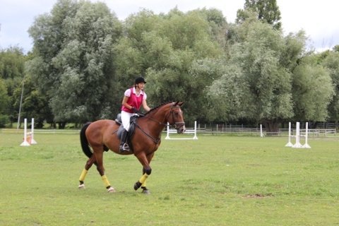 У Луцьку змагалися вершники. ФОТО