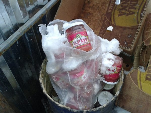 Депутат оприлюднив шокуючі фото з луцького притулку для тварин