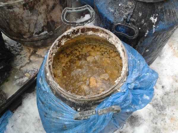 Депутат оприлюднив шокуючі фото з луцького притулку для тварин