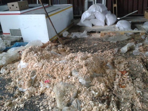 Депутат оприлюднив шокуючі фото з луцького притулку для тварин